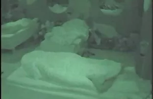 XXX esmer bölümünden ücretsiz bir video indirmek için - lezbiyen pornu indir oynatıcıdaki