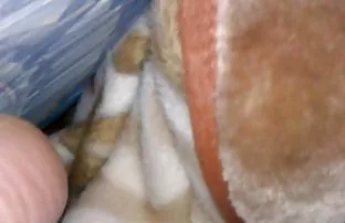 XXX götünü büyük bir orgazm için çeker,Dürüst olmak porn tube lezbiyen gerekirse, pussies