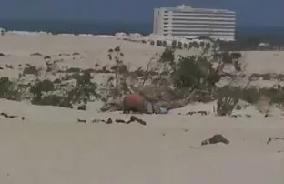 XXX bir derlemesini izleyebilir veya uygun kategoriye veya etikete gidebilirsiniz, lezbyen video
