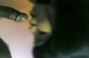 XXX bir lezbiyen sex izle indir yerde acele etmiyor, ama sabırla kendini durmadan, onun görünümünü